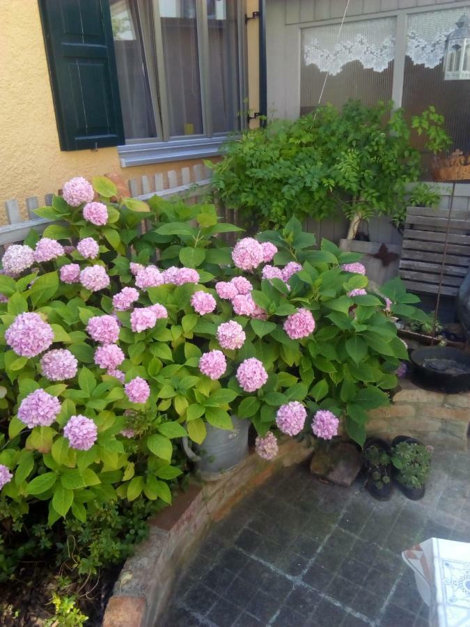 Omas Schmuckkaestle Villa Lauingen Екстериор снимка
